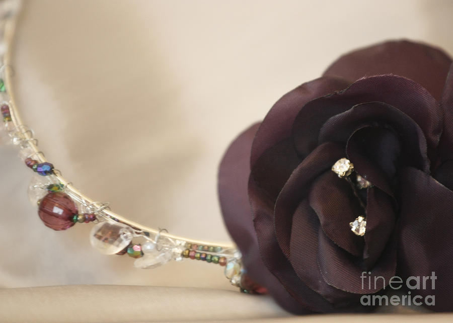 Crystal Diamante Flower Band Photograph by Terri Waters