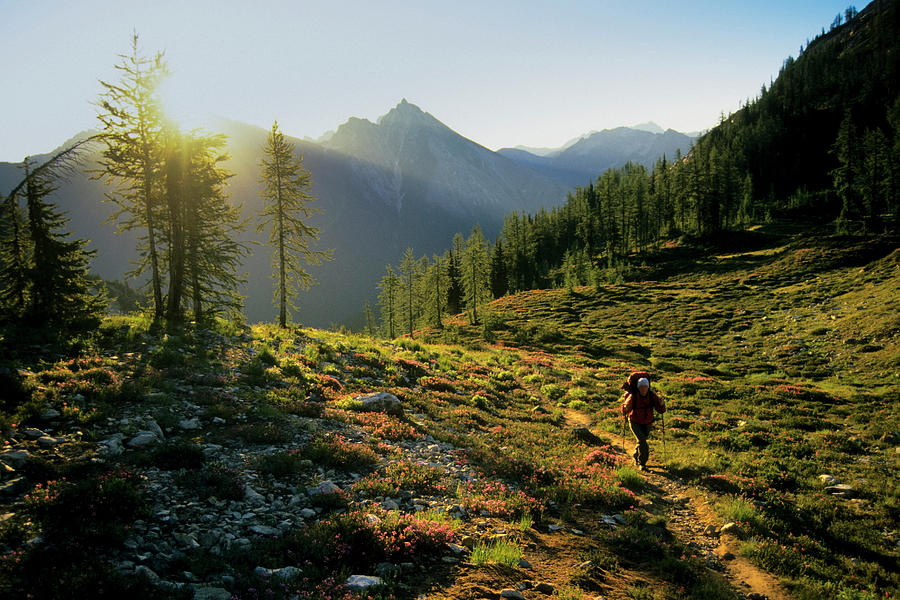 North Cascades National Park Photograph - A Backpacker Hikes Over Easy Pass #1 by Jeff Diener