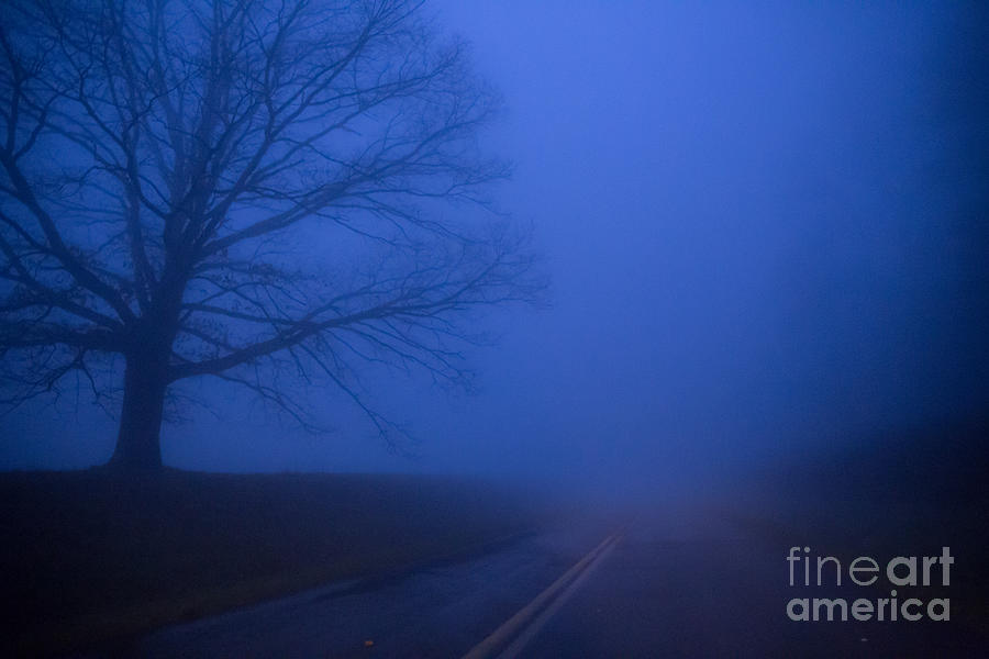 A Foggy Road #1 Photograph by Robert Loe