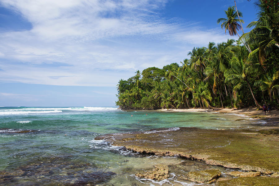 A Hike Through A Beachside Forest Photograph by Matthew Micah Wright ...