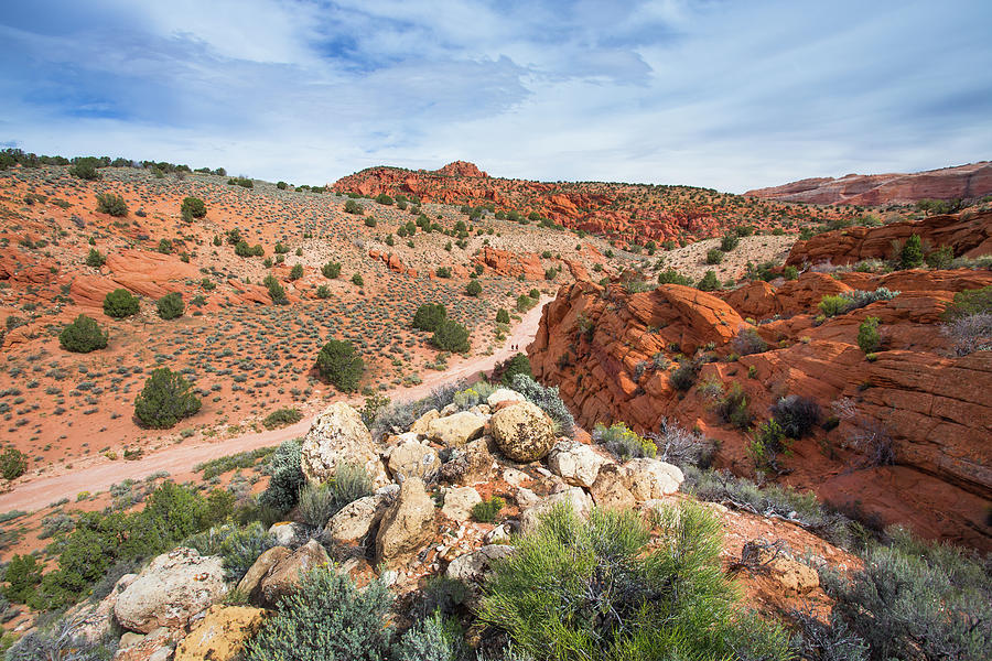 A Hike Through Red Rock Desert #1 Photograph by Matthew Micah Wright