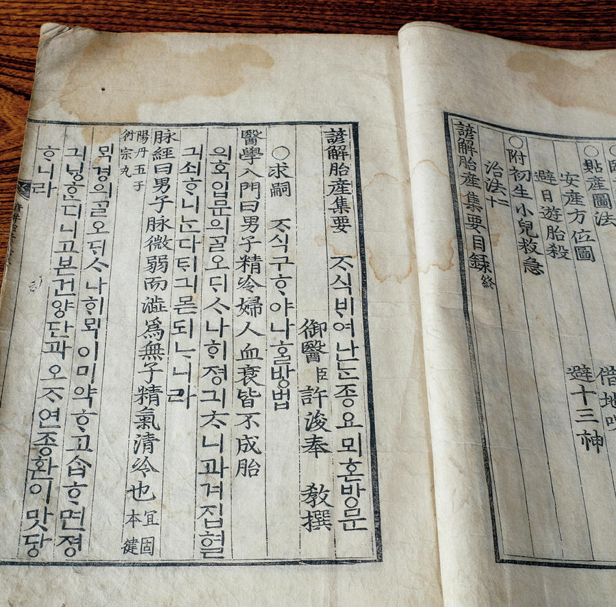 A Historical Book On Chinese Medicine #1 Photograph by Mark De Fraeye/science Photo Library