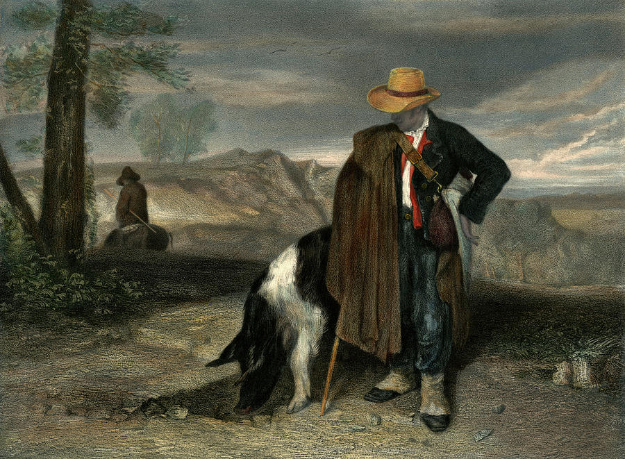 A Man With His Truffle-hunting Pig Drawing By Mary Evans Picture 