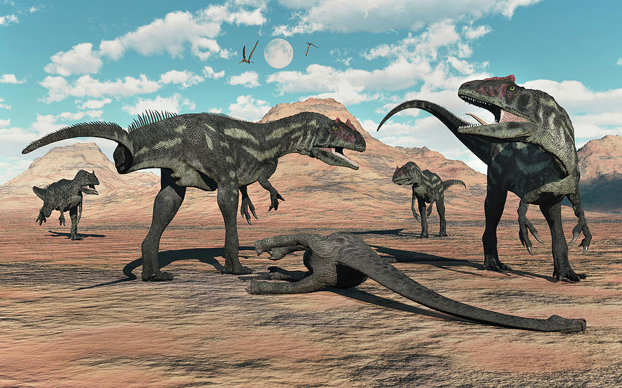 A Pack Of Allosaurus Dinosaurs Photograph By Mark Stevenson Fine Art America