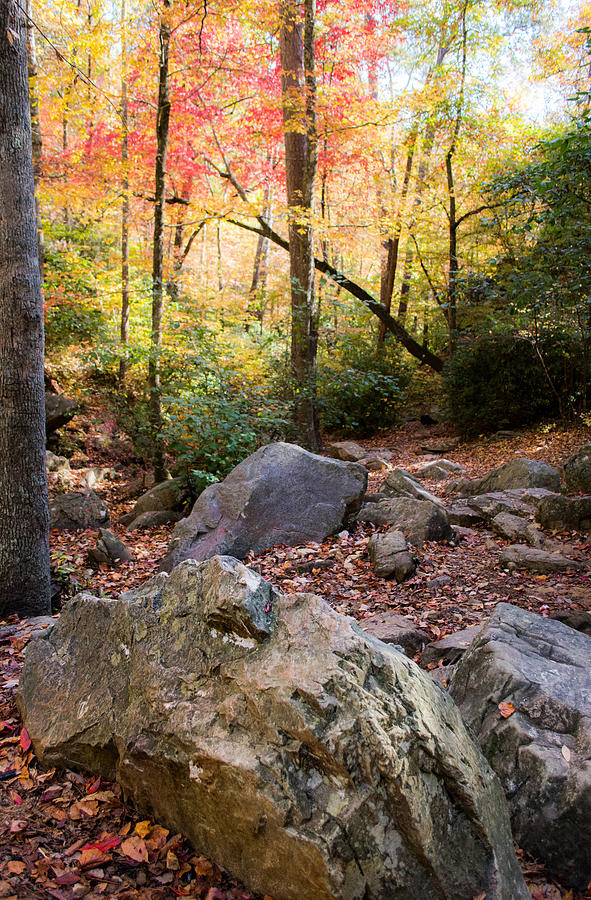 Fall Photograph - A Palette of Colors #2 by Parker Cunningham