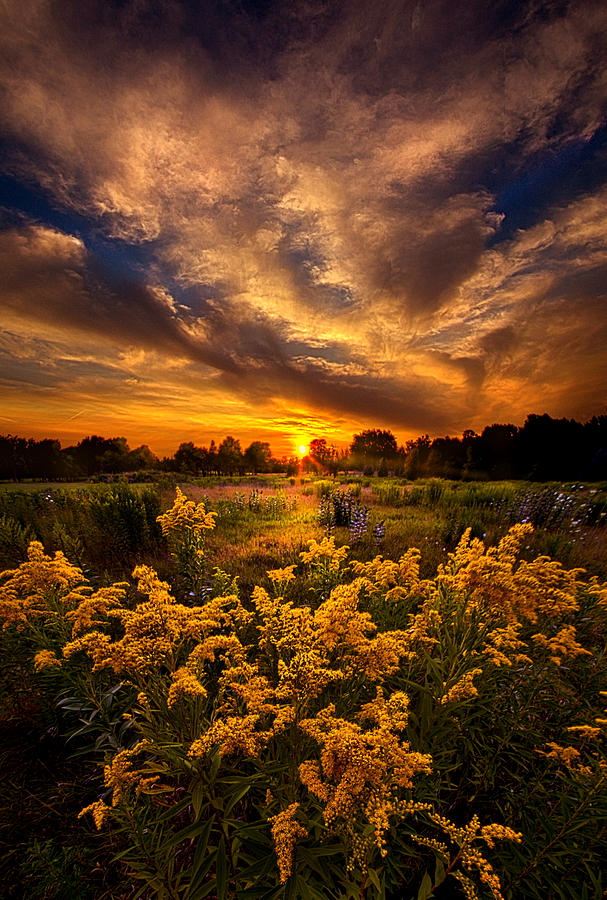 A Peaceful Easy Feeling #1 Photograph by Phil Koch
