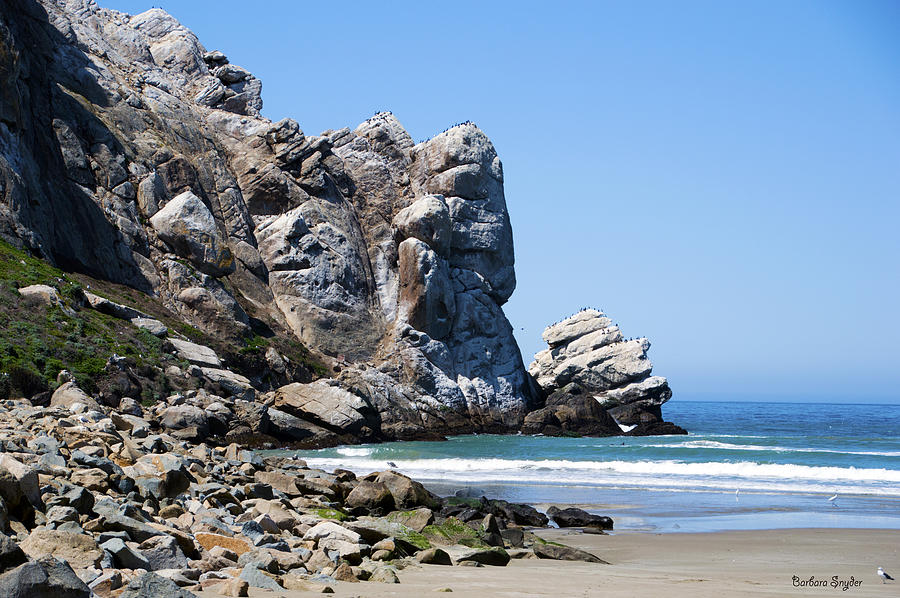 A Piece Of The Rock At Morro Bay 1 Photograph