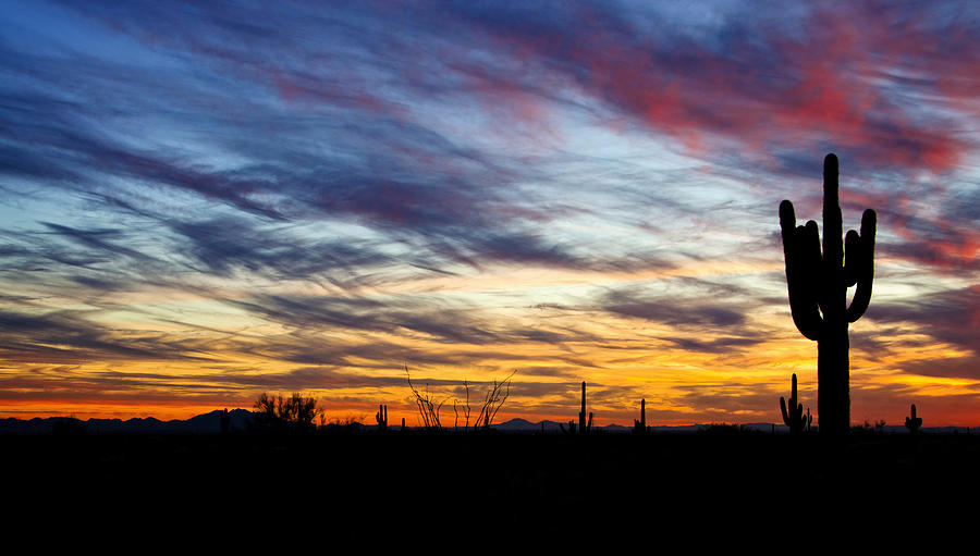 A Silhouette Sunset Photograph by Saija Lehtonen - Pixels