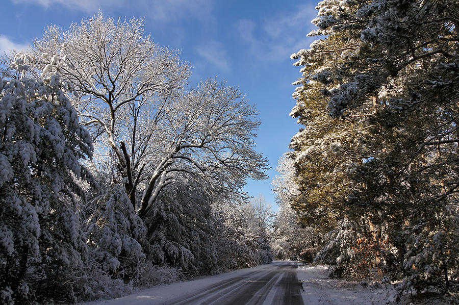 A Snowy Lane #1 Photograph by Leda Robertson