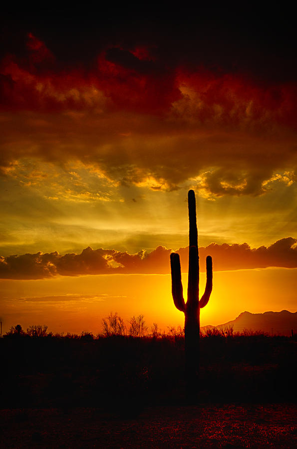 A Sonoran Sunset  #2 Photograph by Saija Lehtonen