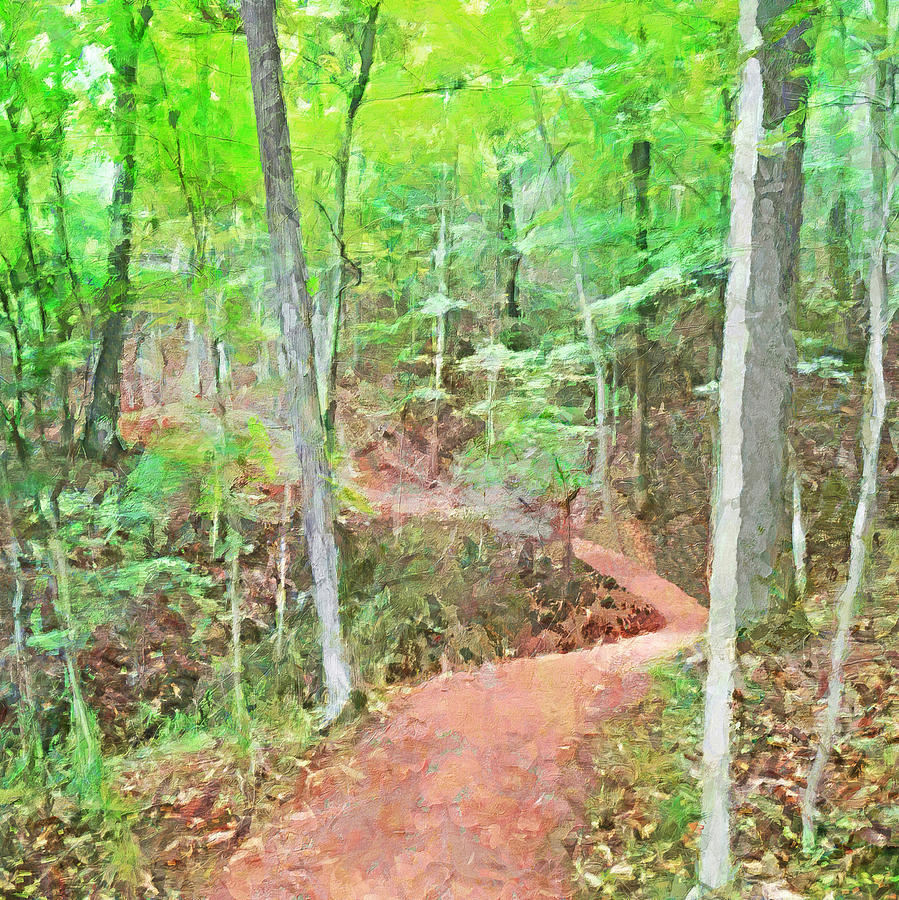 A Trail Through the Woods #1 Digital Art by Digital Photographic Arts