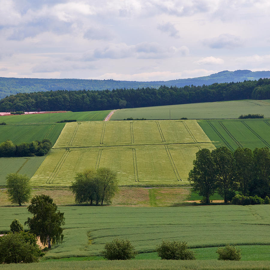 A View Over Fields Photograph