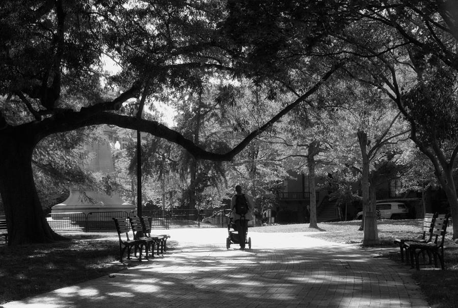 A walk in the Park #1 Photograph by Shelley Bain