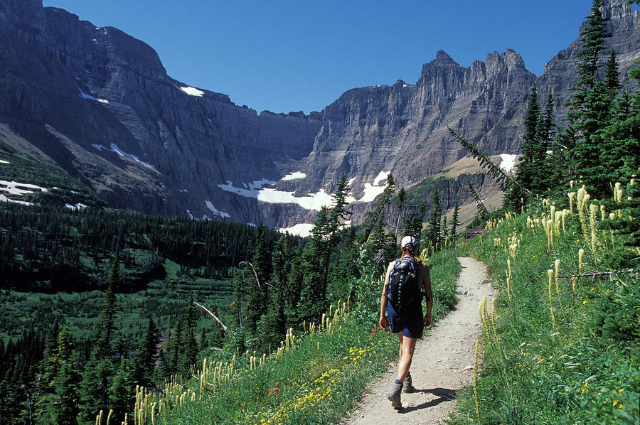 A Young Woman Hiking On Iceberg Lake Photograph by Henry Georgi - Fine ...