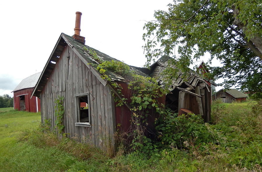 Abandoned Shed Photograph by Susan Wyman | Fine Art America