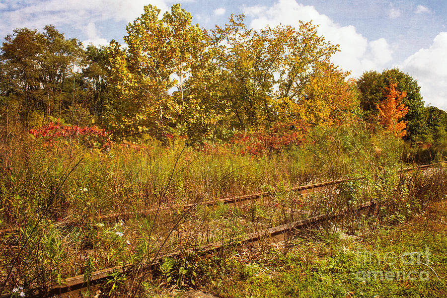 Abandoned Tracks #2 Photograph by Arlene Carmel