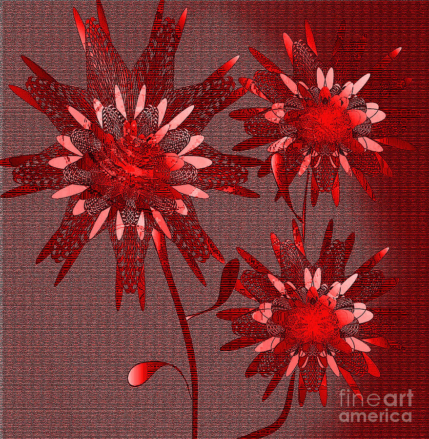 Abstract Blooms #1 Digital Art by Iris Gelbart