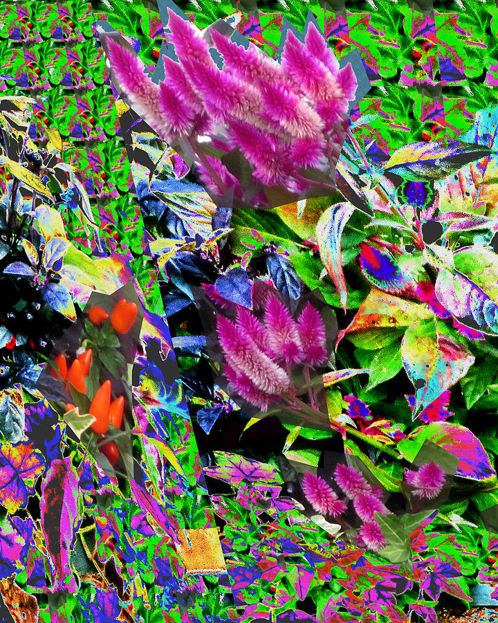 Abstract Mixed Media - Abstract Flower Floral Photography and digital painting combination mixed media by NavinJOSHI     #1 by Navin Joshi
