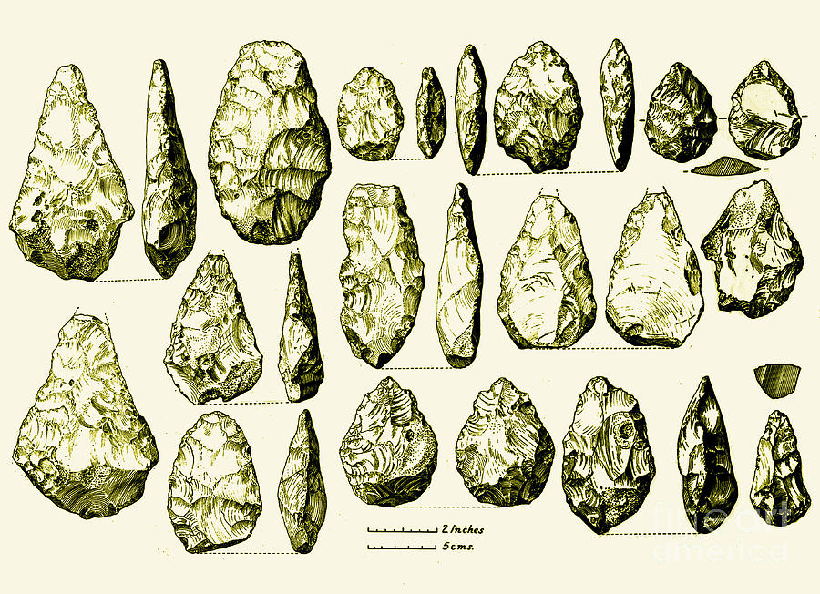 Acheulean Hand-axes, Lower Paleolithic #1 Photograph by Science Source