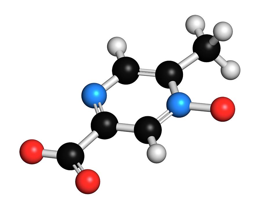 Acipimox Hypertriglyceridemia Drug Molecule Photograph by ...