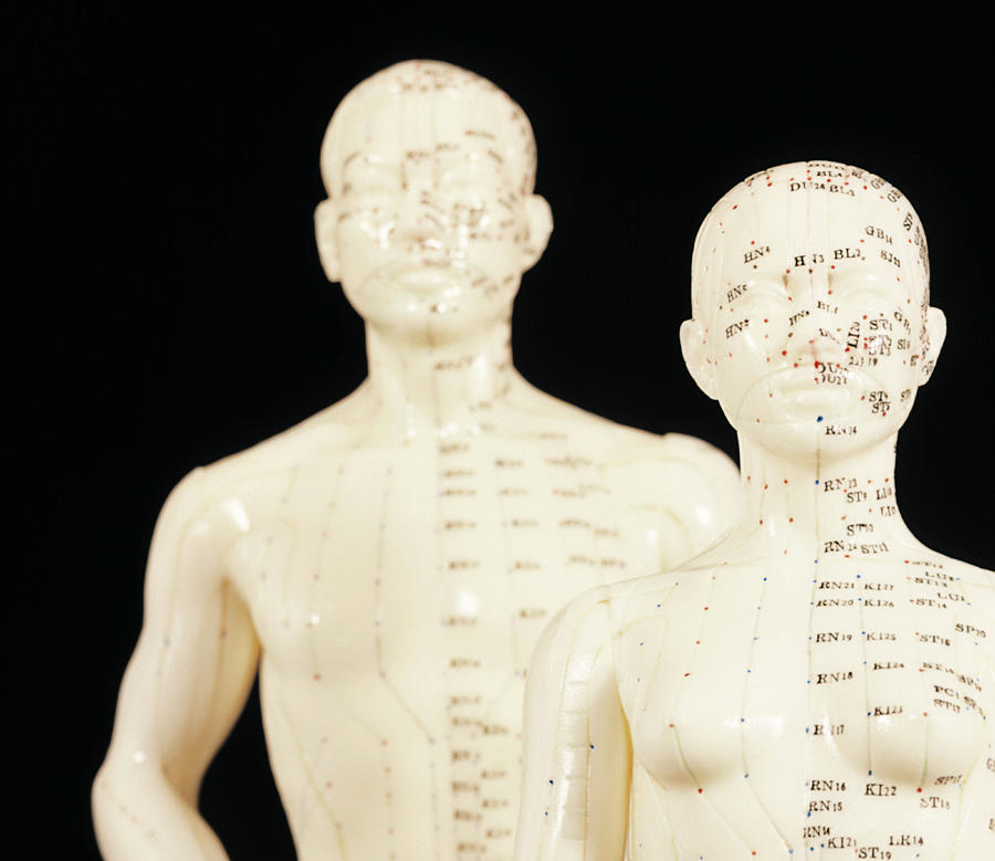 Acupuncture Models Photograph by Mark Thomas/science Photo Library ...