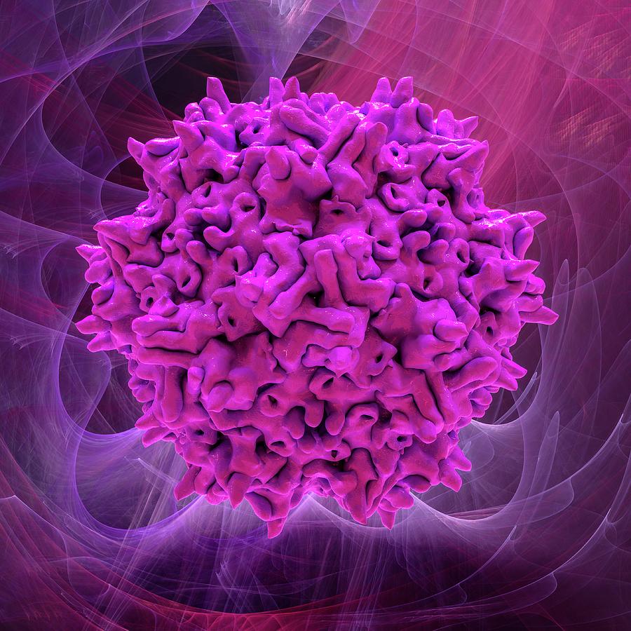 Aav Photograph - Adeno-associated Virus 2 Capsid #1 by Laguna Design/science Photo Library