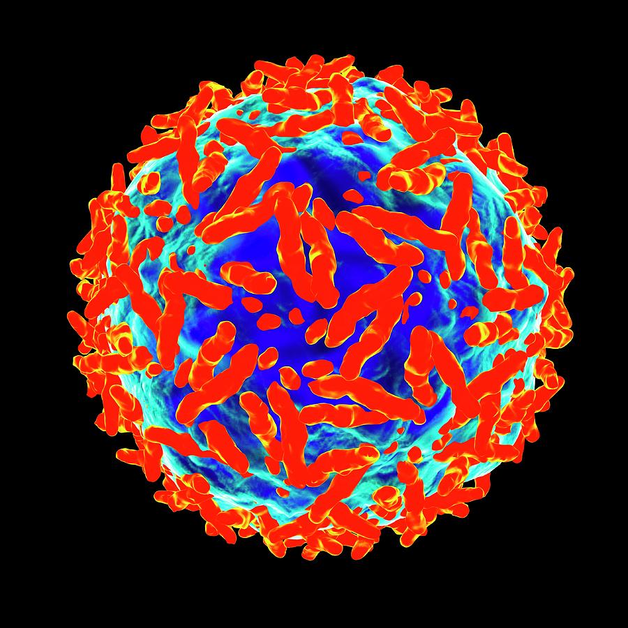 Adeno Associated Virus #1 Photograph by Mehau Kulyk