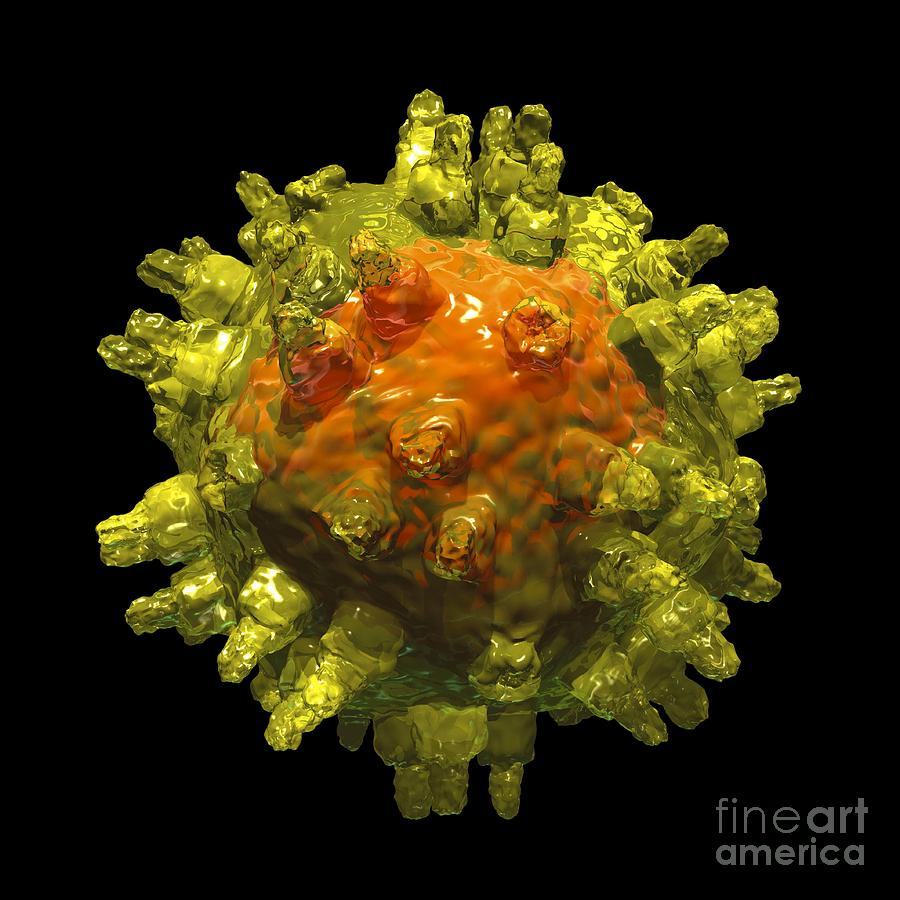 Adeno-associated Virus #1 Photograph by Russell Kightley