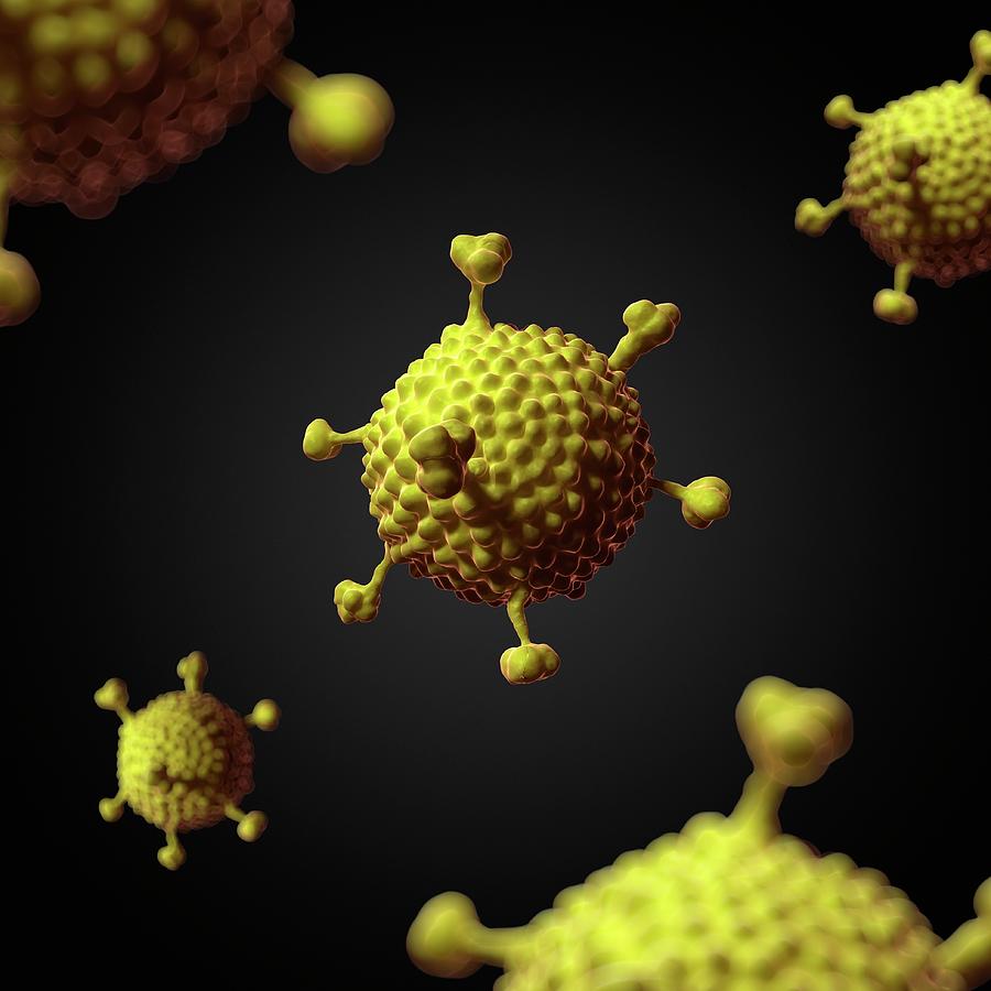 Adenovirus #1 Photograph by Sciepro/science Photo Library