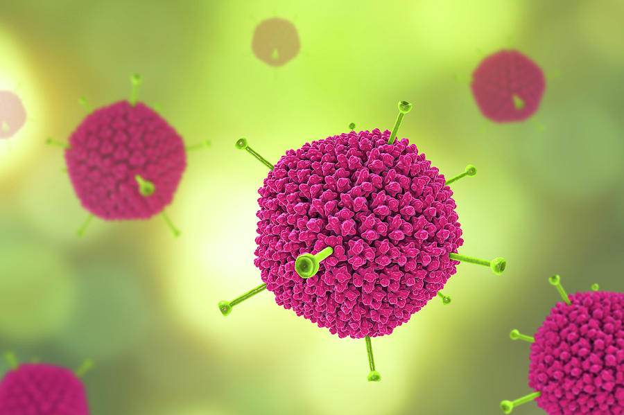 Adenoviruses #1 Photograph by Kateryna Kon/science Photo Library