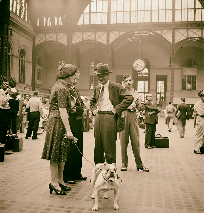 Transportation Photograph - Admiring the Dog at Penn Station 1942 #1 by Mountain Dreams