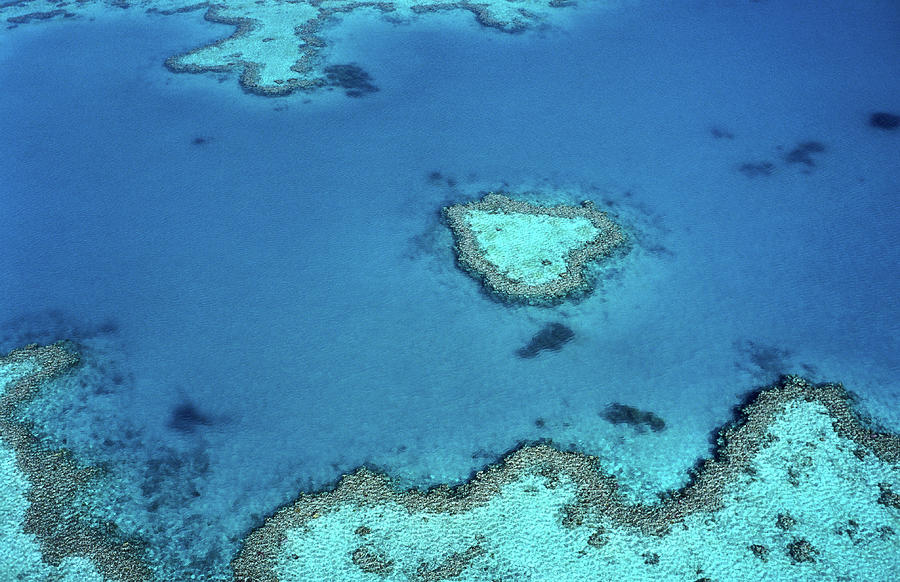 Aerial Of Heart-shaped Reef At Hardy Photograph by Holger Leue