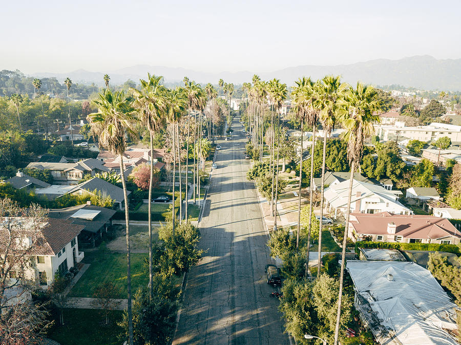 Aerial of Palm Tree Lined Street Photograph by Ryan Herron