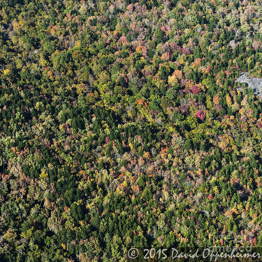 Aerial Photo of Fall Colors on the Blue Ridge Parkway #1 Photograph by David Oppenheimer