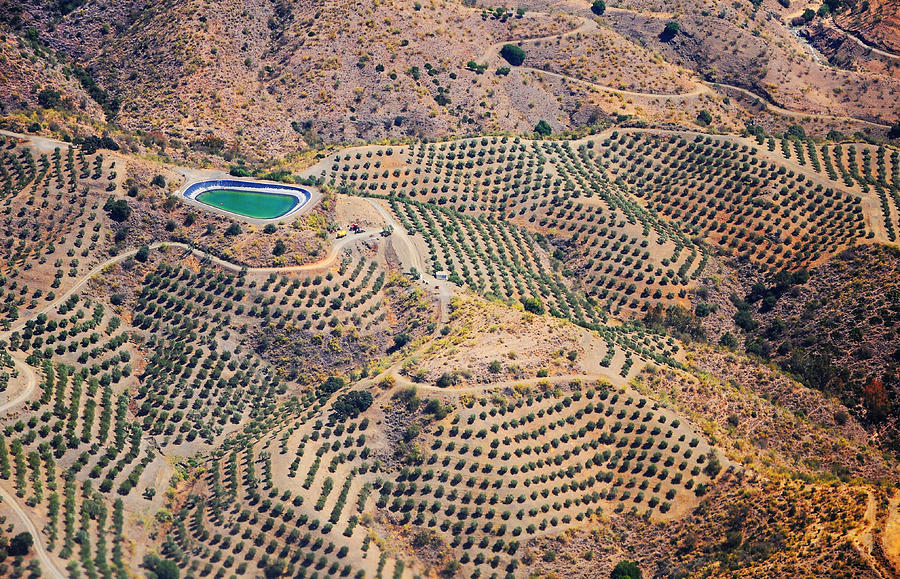 Aerial View of Andalusia. Spain #1 Photograph by Jenny Rainbow