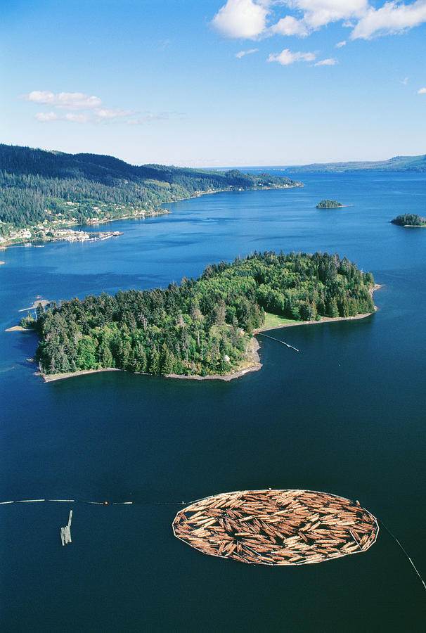 Aerial View Of Felled Timber Logs On Water #1 Photograph by David Nunuk/science Photo Library