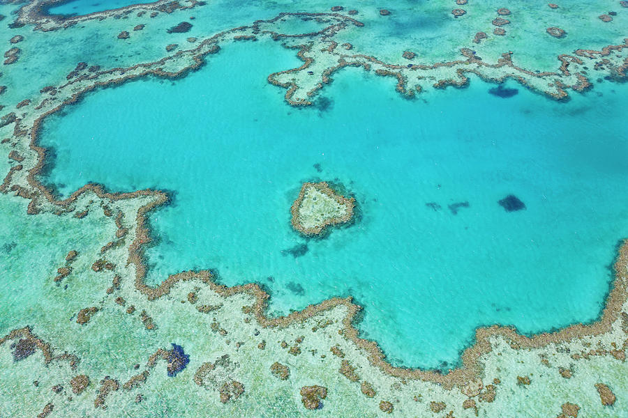Great Barrier Reef Marine Park Photograph - Aerial View Of Heart Reef, Part #1 by Peter Adams