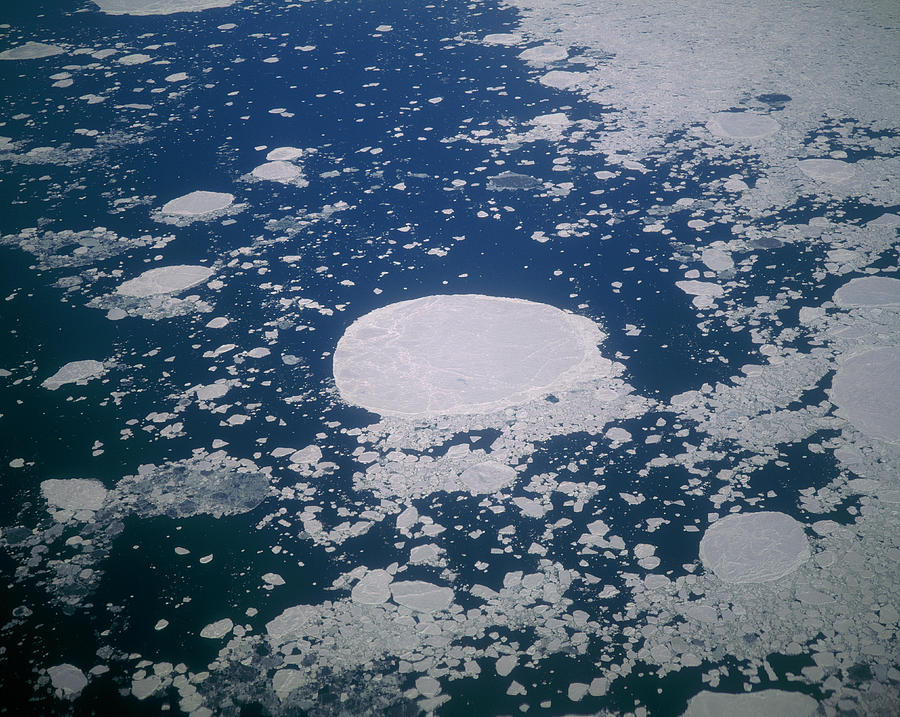 Aerial View Of Sea Ice Off Greenland #1 Photograph by Simon Fraser/science Photo Library