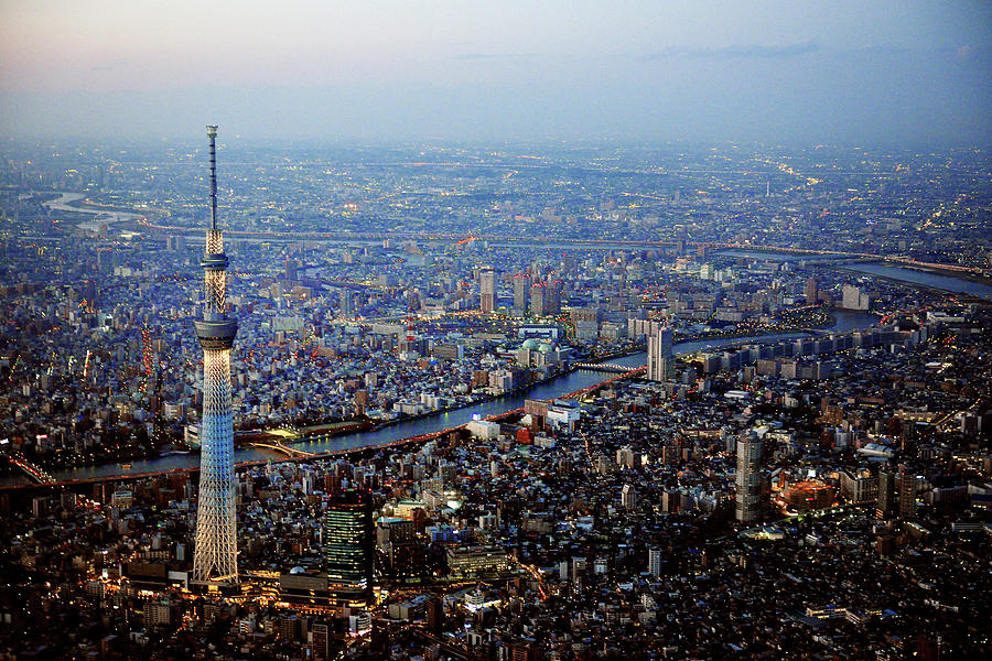 Aerial View Of Tokyo #1 Photograph by Vladimir Zakharov