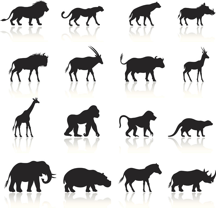 African Animals Icon Set #1 Drawing by AlonzoDesign