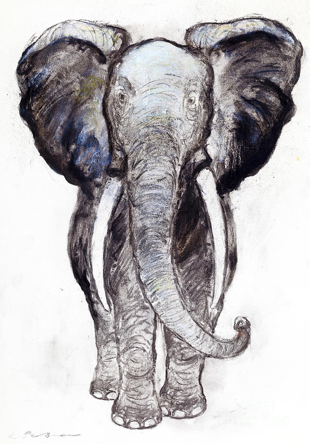 Elephant Pastel - African elephant #1 by Kurt Tessmann