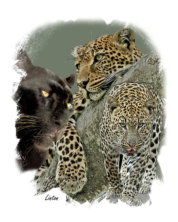 African Leopard 2 #1 Digital Art by Larry Linton