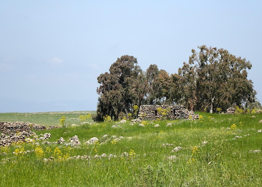 Ancient ruins remains Golan Heights Photograph by Rita Adams
