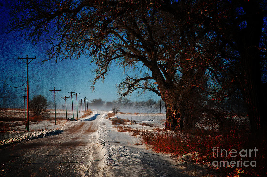 Tree Digital Art - After The Snow Storm #1 by Robert Carner