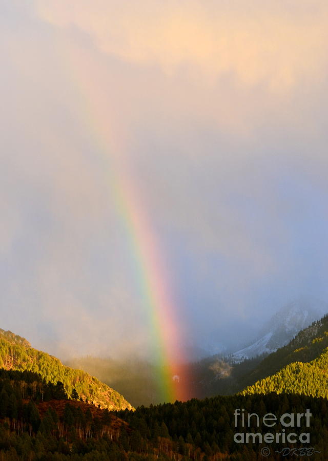 After the Storm by Dorrene BrownButterfield After the Storm by Dorrene BrownButterfield