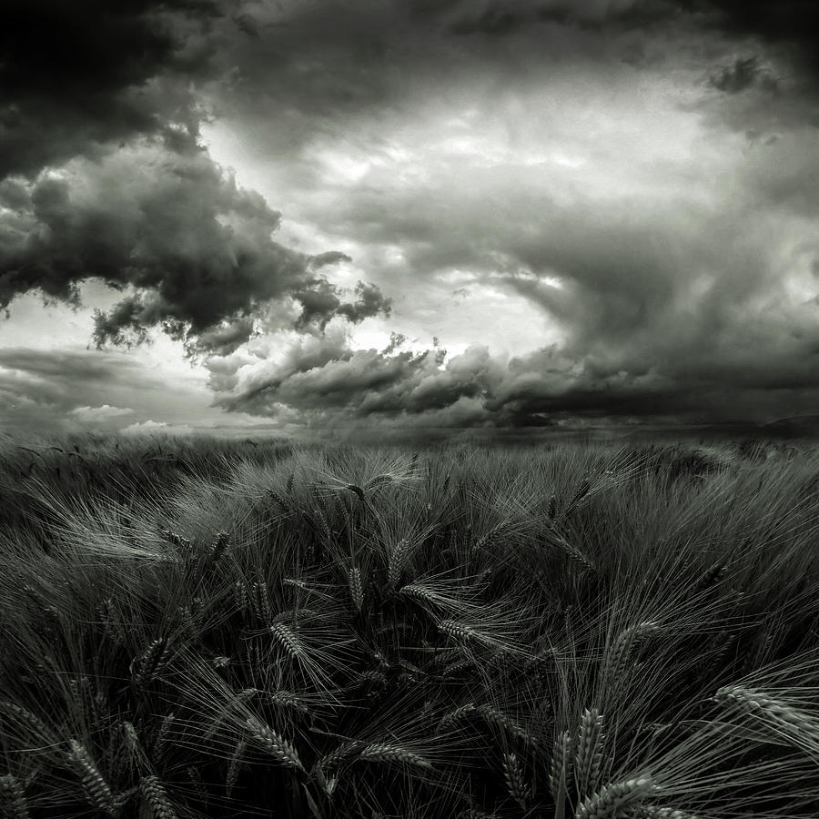 Summer Photograph - After The Storm #1 by Franziskus Pfleghart