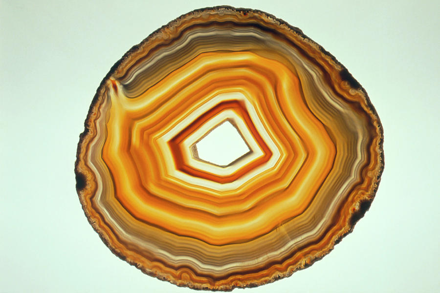 Agate #1 Photograph by Sinclair Stammers/science Photo Library