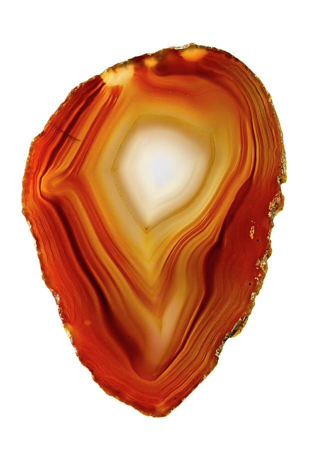 Agate Slice #1 Photograph by Natural History Museum, London/science Photo Library