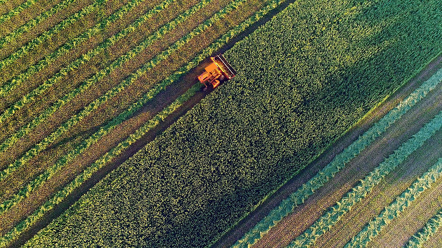 Agricultural harvesting at the last light of day, aerial view. #1 Photograph by JamesBrey