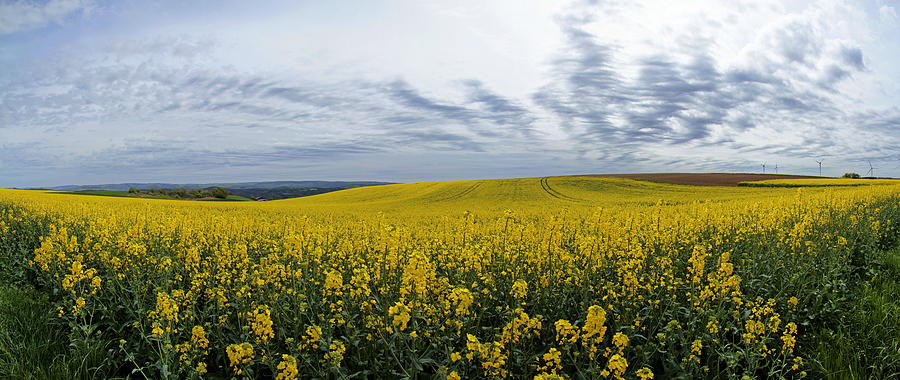 Agricultural Landscape With Rapefield #1 Photograph by Hans-peter Merten